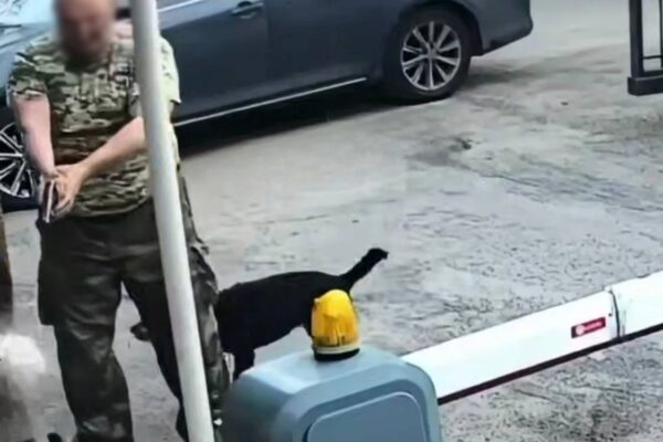 У Києві чоловік з пістолетом напав на 70-річного охоронця