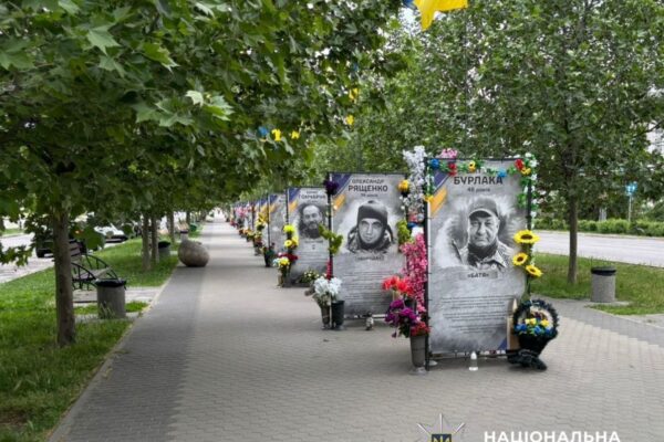 На Київщині поліція склала адмінпротоколи на батьків дівчат, які танцювали під російську музику на Алеї Слави