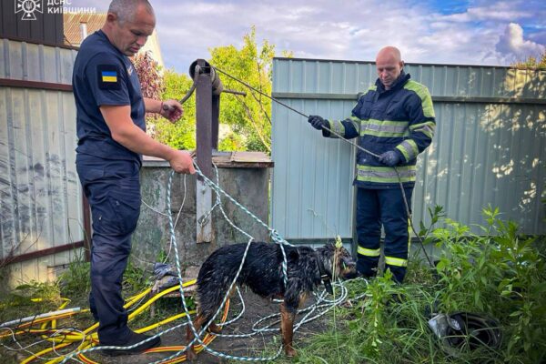 У Фастівському районі надзвичайники врятували собаку з пастки