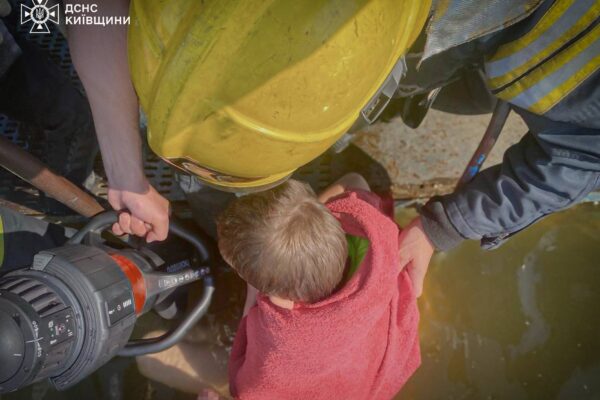 Застрягла в металевій конструкції: В Узині рятувальники визволили дитину з пастки