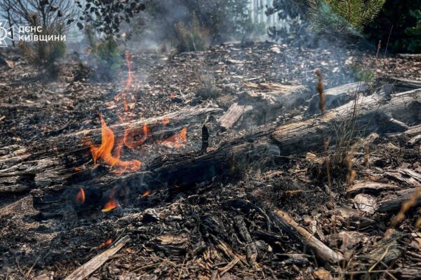 До ліквідації пожежі у Чорнобильській зоні залучили 260 рятувальників (ФОТО)
