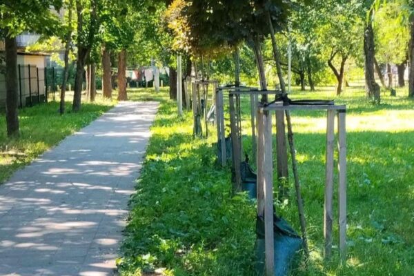 У Києві встановили понад 6 тисяч мішків для повільного поливу дерев