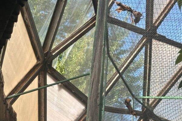 У столичному зоопарку унаслідок атаки РФ постраждали тварини