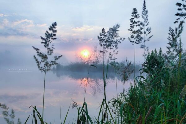 У мережі поділилися світлинами світанку на Бучанському озері