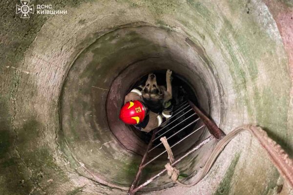 На Київщині рятувальники дістали собаку з покинутого колодязя