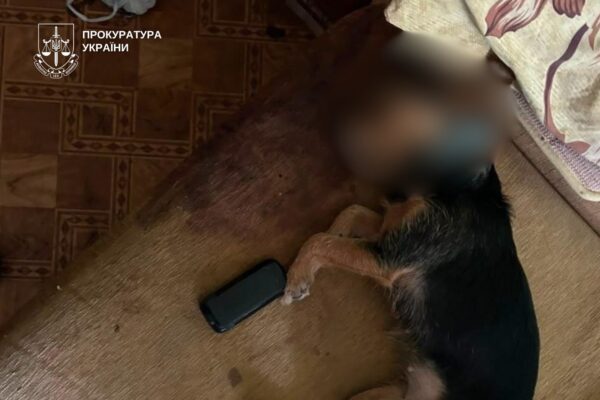 У Києві жінку підозрюють у викиданні собаки з четвертого поверху