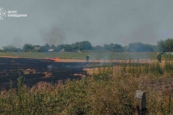 На Київщині під час пожежі стерні загинула людина, ще одна постраждала