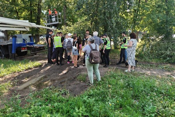 Без тепла можуть залишитися понад 280 будівель:  У КМДА пояснили вирубку дерев на Теремках