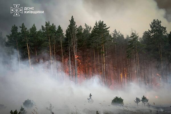 На Вишгородщині триває ліквідація масштабної лісової пожежі
