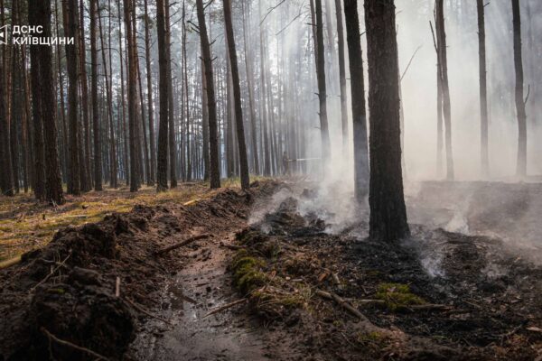 На Київщині четверту добу гасять масштабну лісову пожежу площею 2500 гектарів