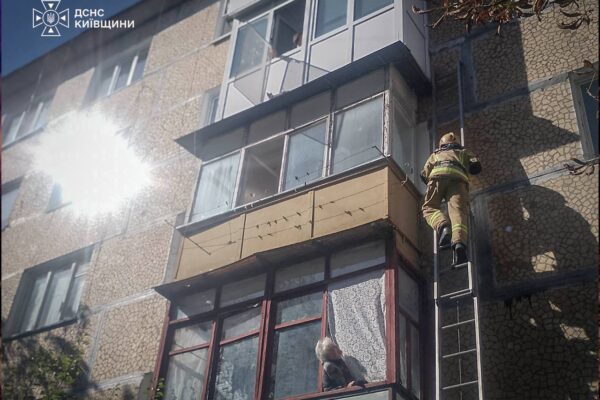 У Білій Церкві надзвичайники врятували кота, який вибрався на козирок балкона