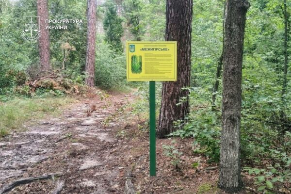 Прокуратура через суд вимагає встановити межі заказника «Межигірське»