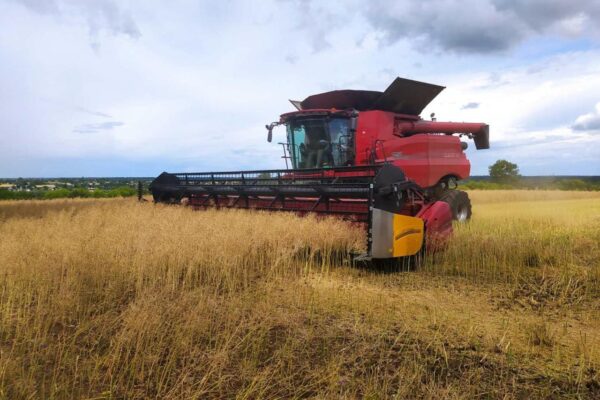 Аграрії Київщини зібрали понад 2,5 млн тонн зерна